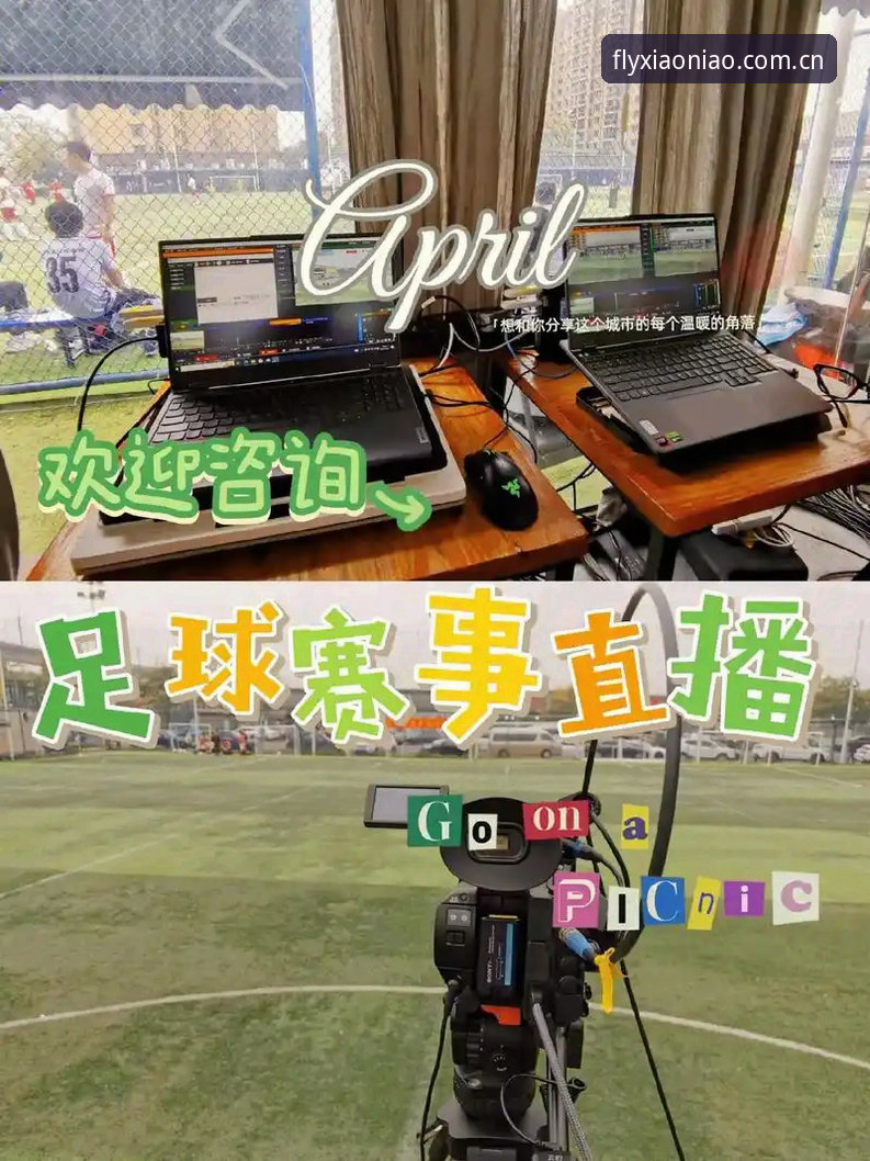 小鸟体育直播 小鸟体育直播全面解析:从赛事分析到APP体验的深度评测