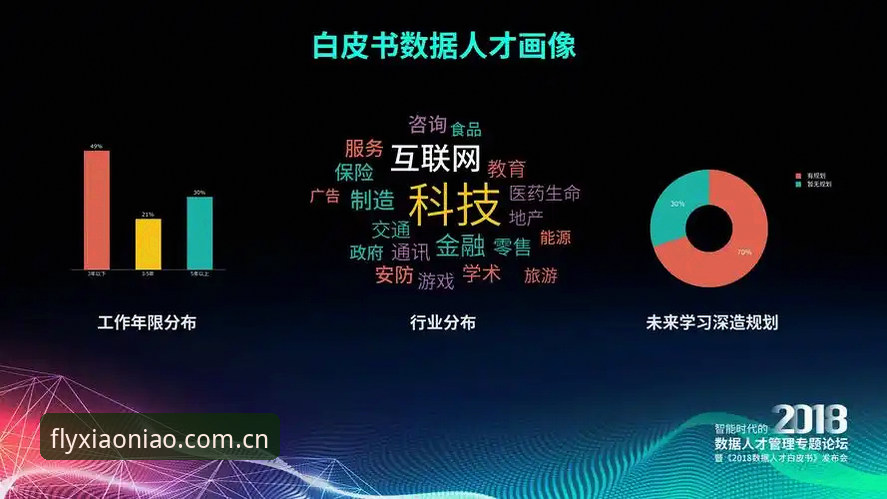 小鸟体育官方APP 揭秘小鸟体育官方APP背后的真相:一个技术评测员的深度实测报告