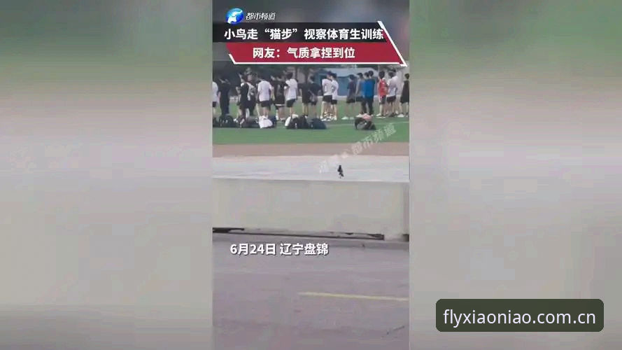 小鸟体育下载链接iOS版 揭秘小鸟体育下载链接iOS版:99%用户不知道的正版安装技巧
